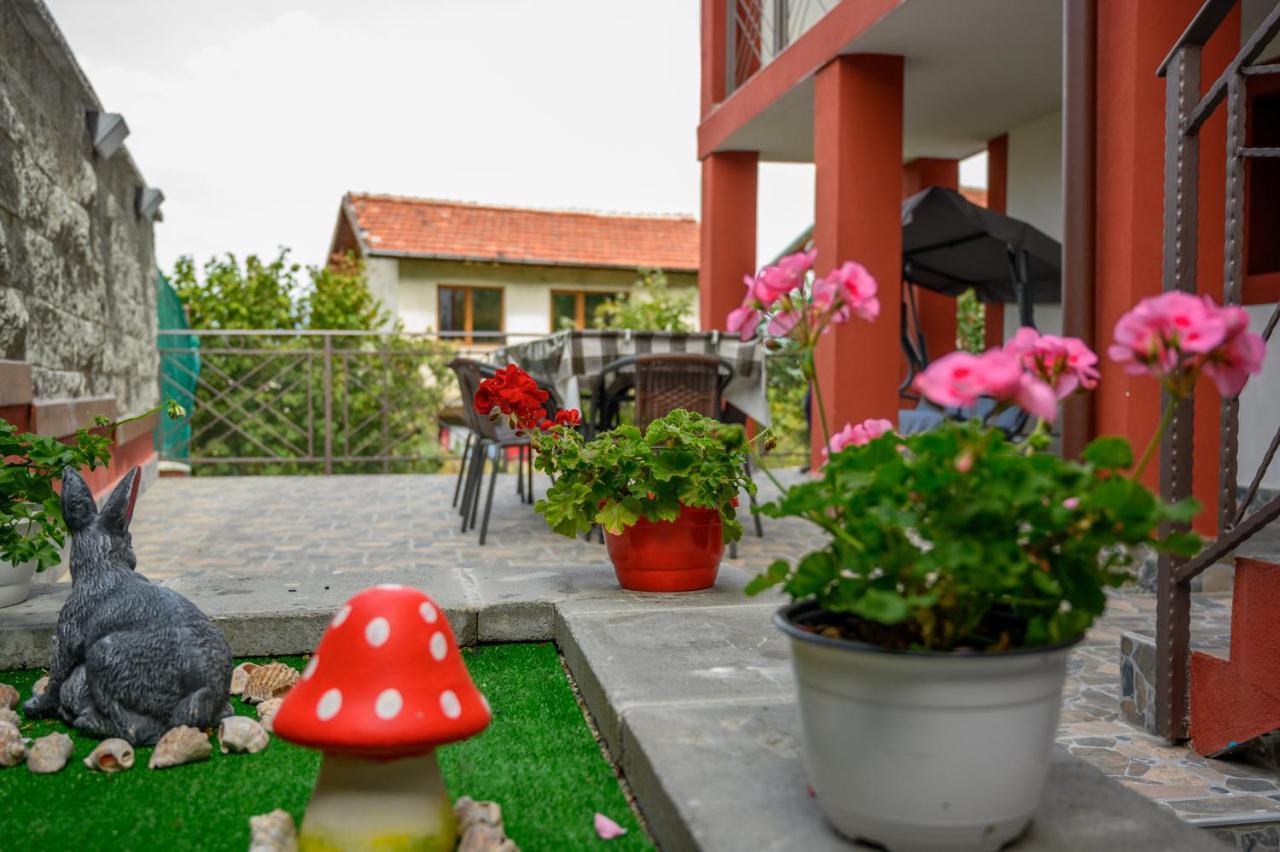 Къща За Гости „Жоро И Дани “ Villa Sapareva Banya Bagian luar foto
